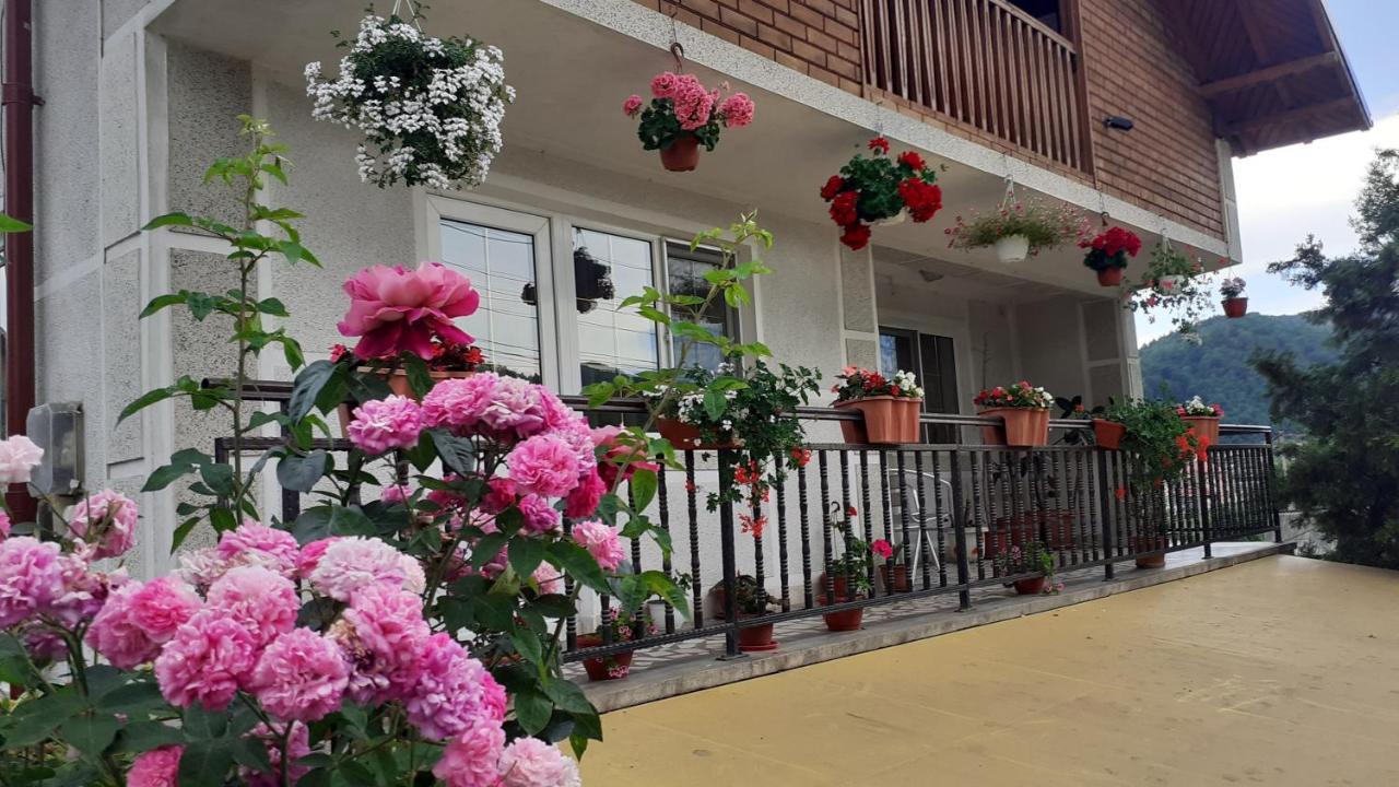 Vila Nadia Hotel Oesti-Paminteni Luaran gambar